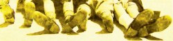 Yellow Feet