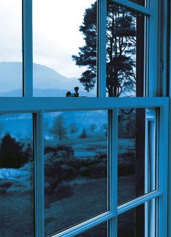 Blue Morning, Lanehead